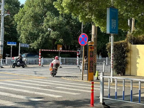 電子哨兵 沒有信號燈路口的24小時智慧守護者